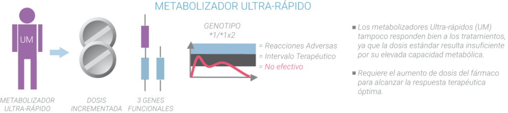 Metabolizadores ultra rápido