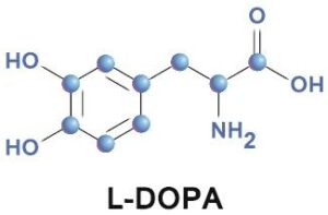 L-dopa
