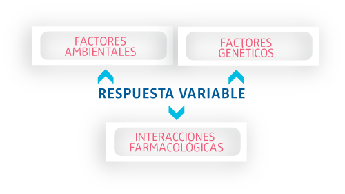Respuesta variable