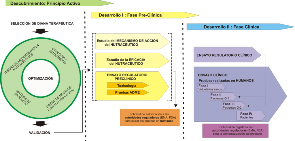 proceso desarrollo pre-clinico