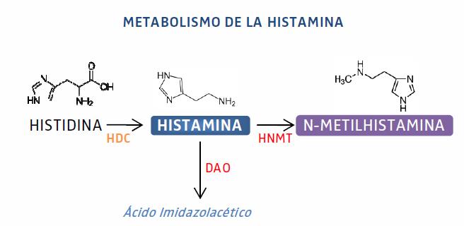 Histamina