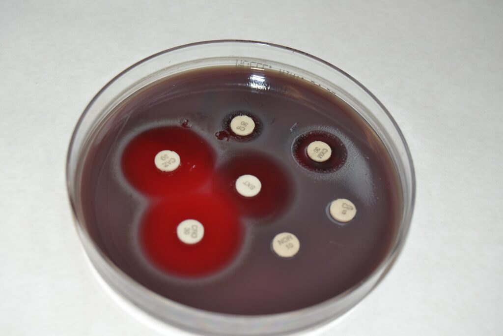 Laboratorio