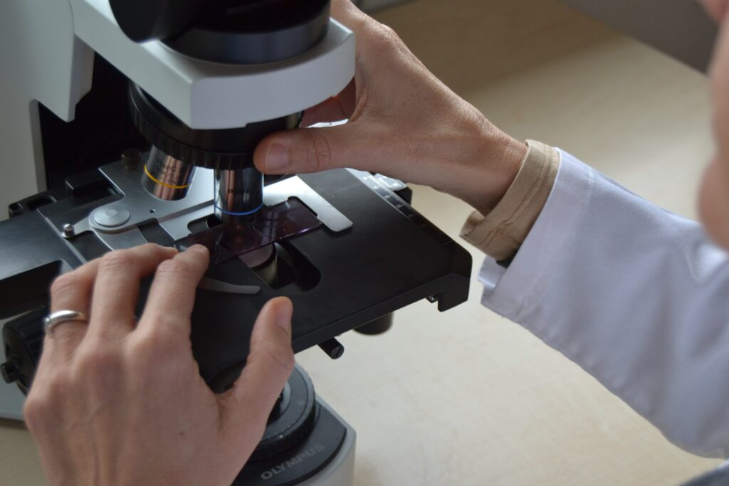Foto microscopio.
