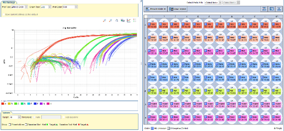Epigenetics Expression