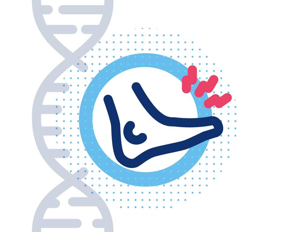 Pruebas Genética Predictiva